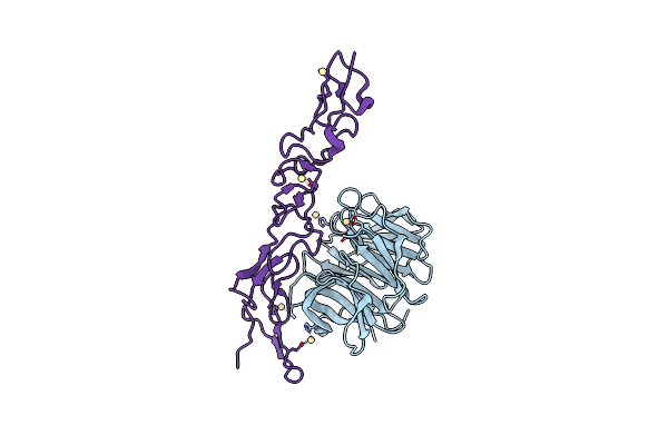 1NPE image