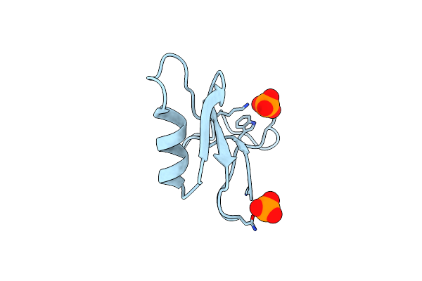 1NPI image