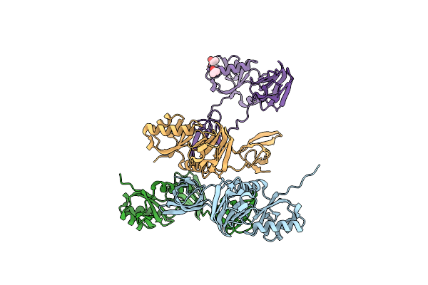 1NPP image