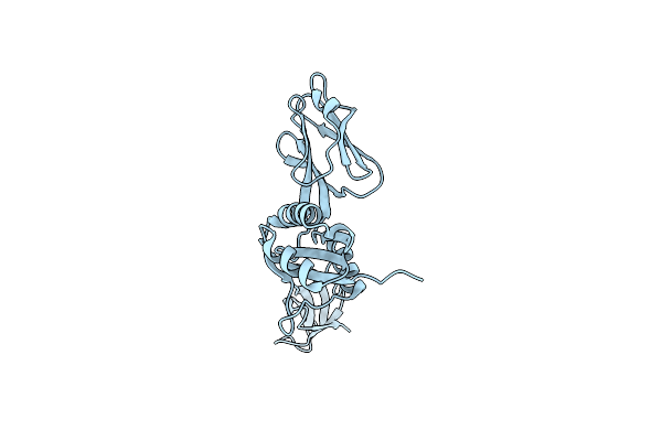 1NPR image