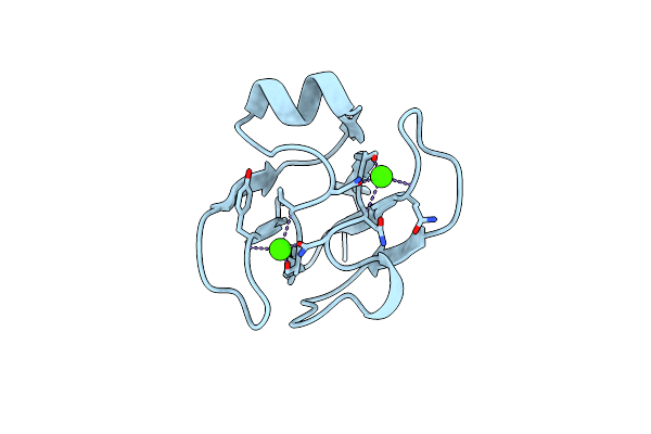 1NPS image