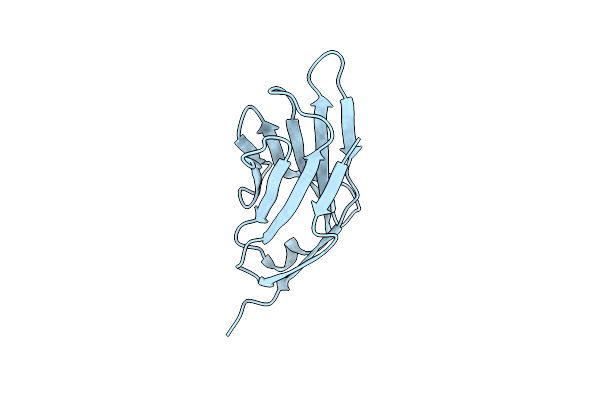 1NPU image