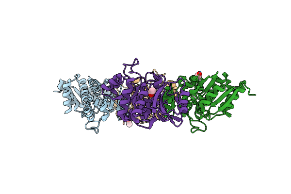 1NPY image