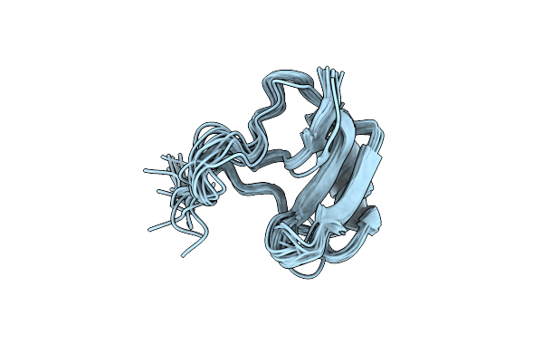 1NRB image