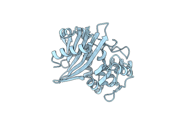 1NRF image