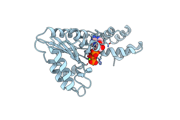1NSF image