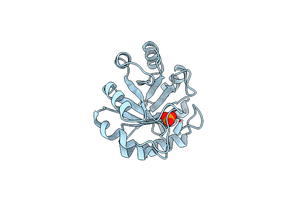 1NSJ image