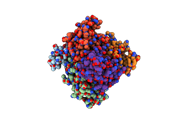 1NSK image