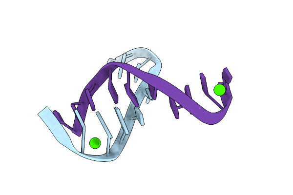 1NT8 image