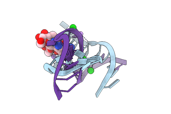 1NTA image