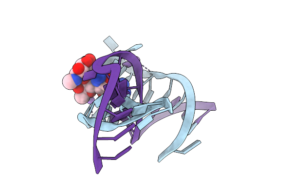 1NTB image