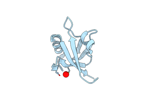 1NTE image