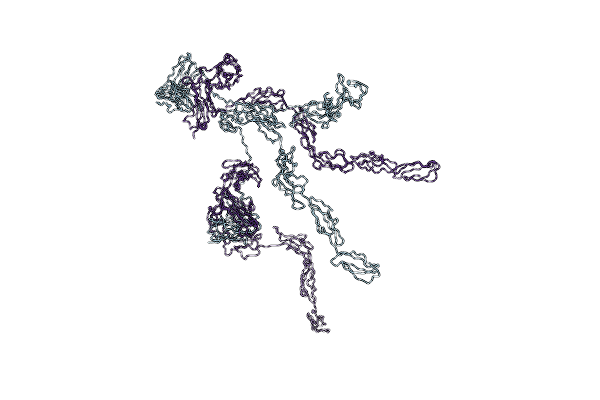 1NTL image