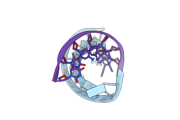 1NTS image