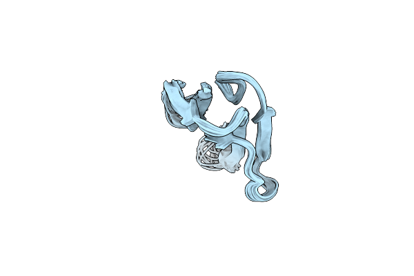 1NTX image