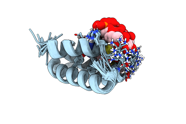 1NVL image