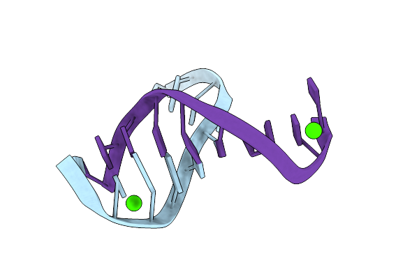1NVN image