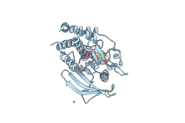 1NWL image