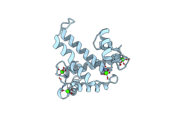 1NX2 image