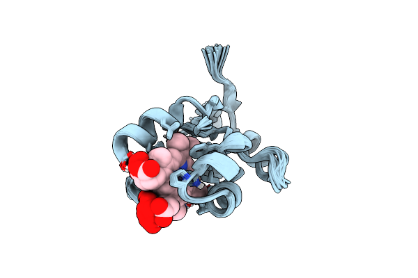 1NX7 image