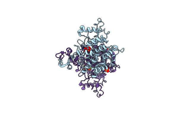 1NXE image