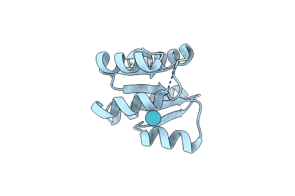 1NXT image