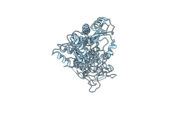 1NYL image