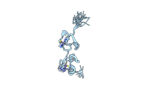 1NYP image