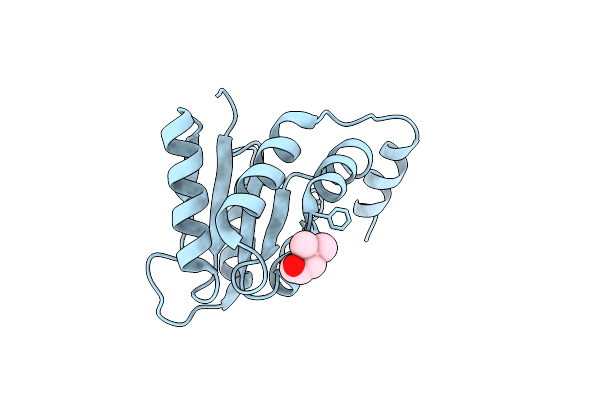 1O1X image