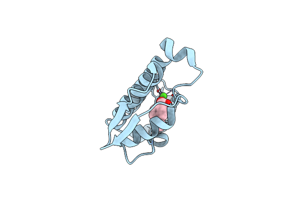 1O2E image