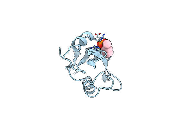 1O41 image