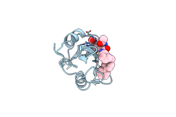 1O43 image