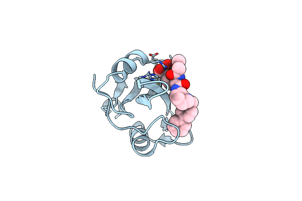 1O46 image