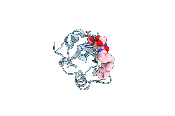 1O49 image