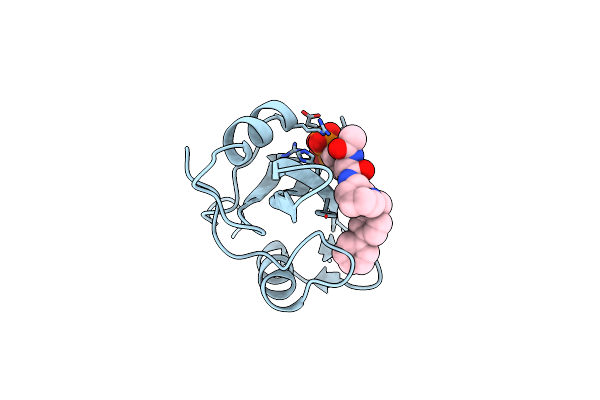 1O4B image