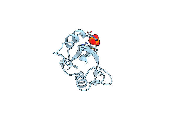 1O4C image