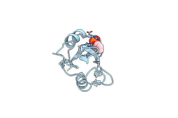 1O4D image