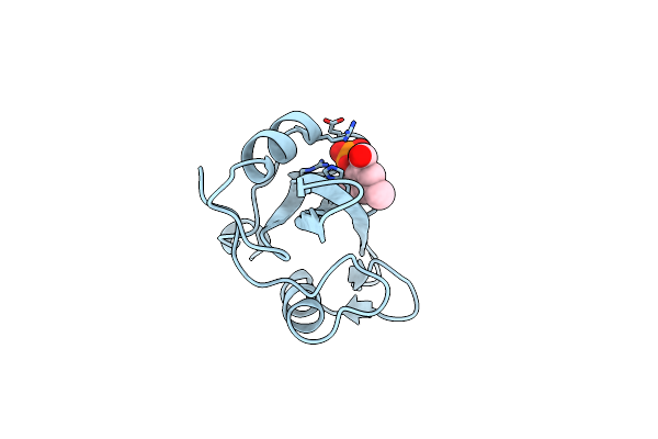 1O4E image