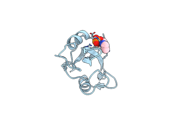 1O4F image