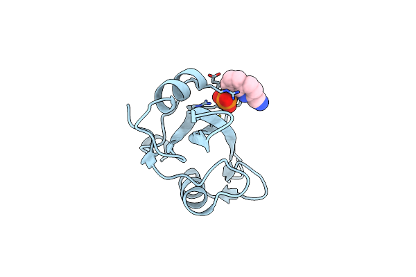 1O4H image
