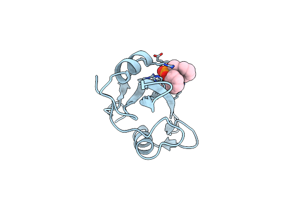 1O4K image