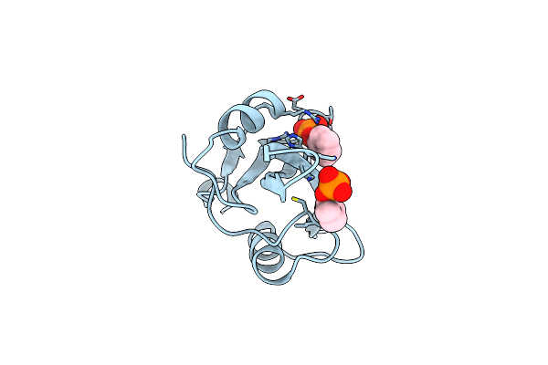 1O4O image