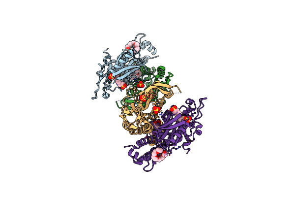 1O57 image