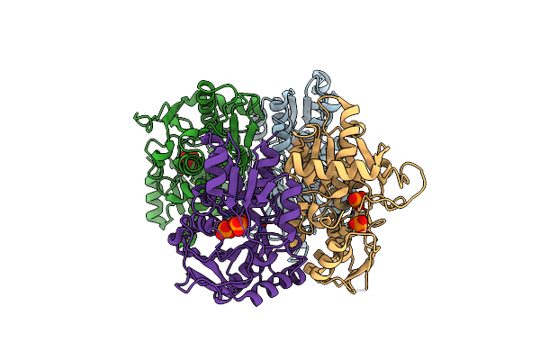 1O58 image