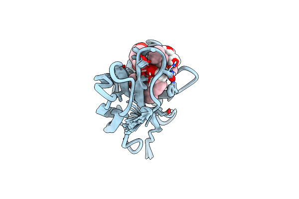 1O5P image