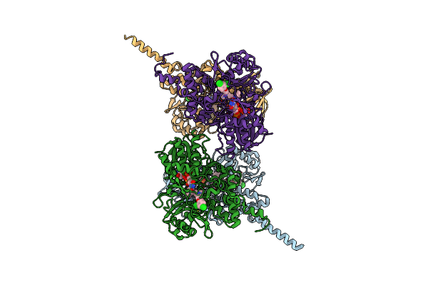1O5W image