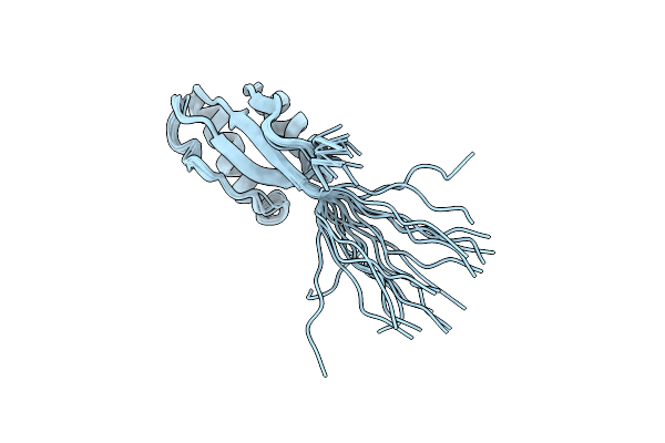 1O6X image