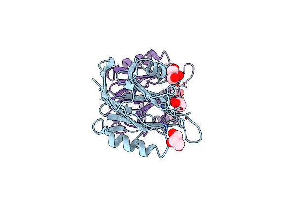 1O71 image