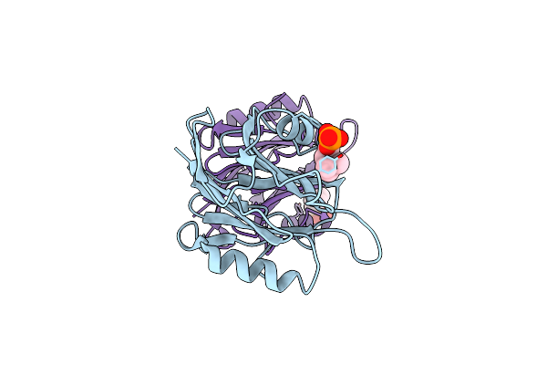 1O72 image
