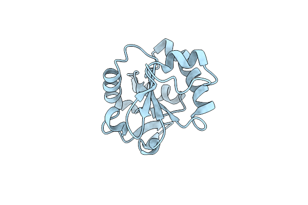 1O7U image